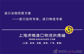 專業(yè)護(hù)航，高效通關(guān) 上海進(jìn)口報(bào)關(guān)代理服務(wù)全解析